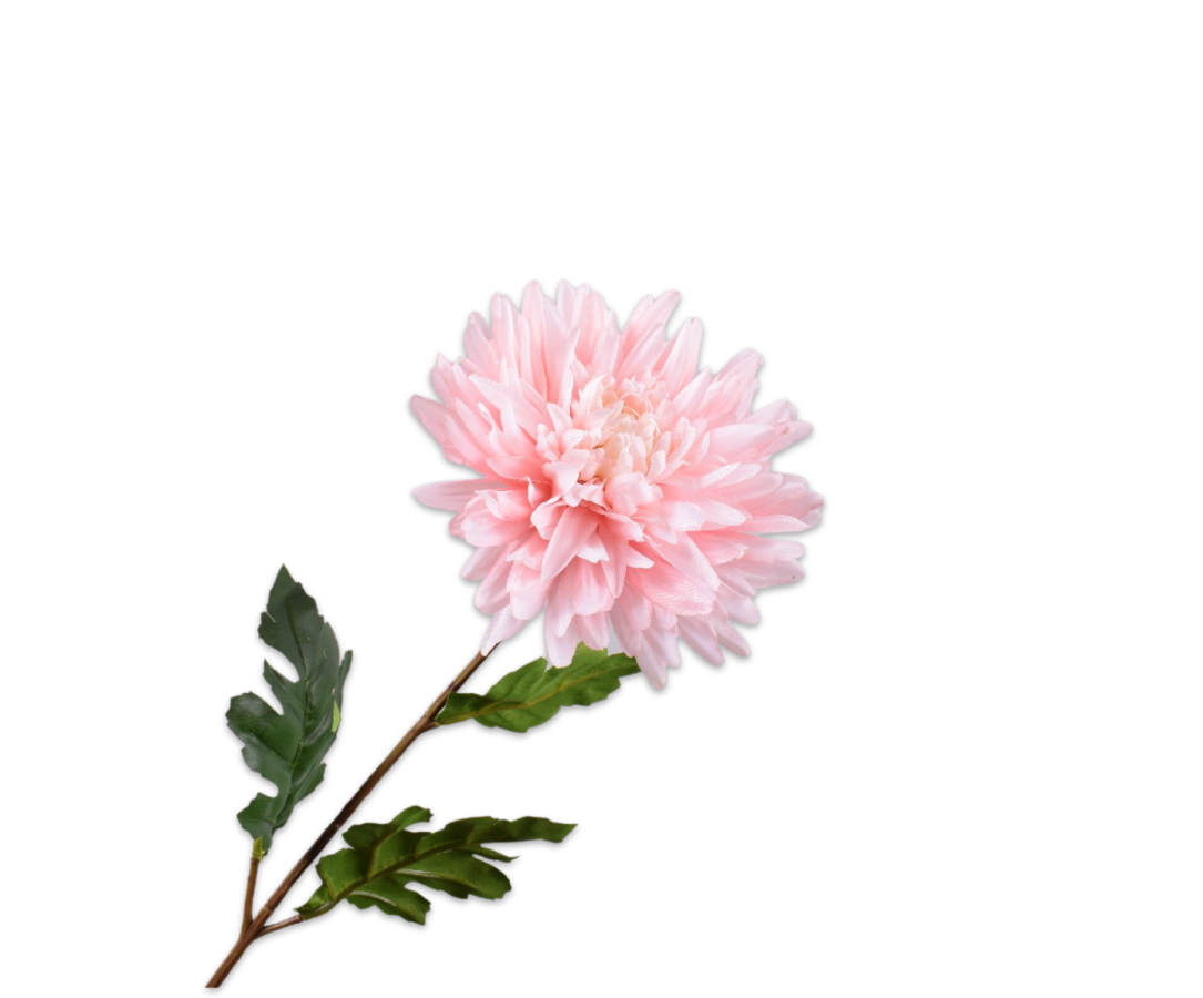 Dahlia Stem Pink 62cm