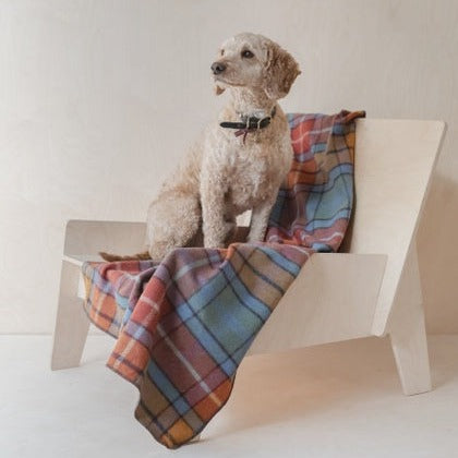 Recycled Wool Large Pet Blanket in Buchanan Antique Tartan