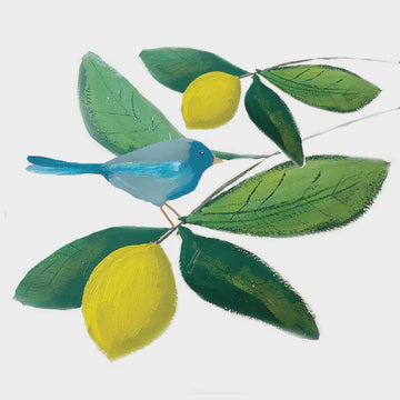 Lemon tree with Bird card
