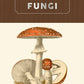 Fungi Kew Pocketbooks