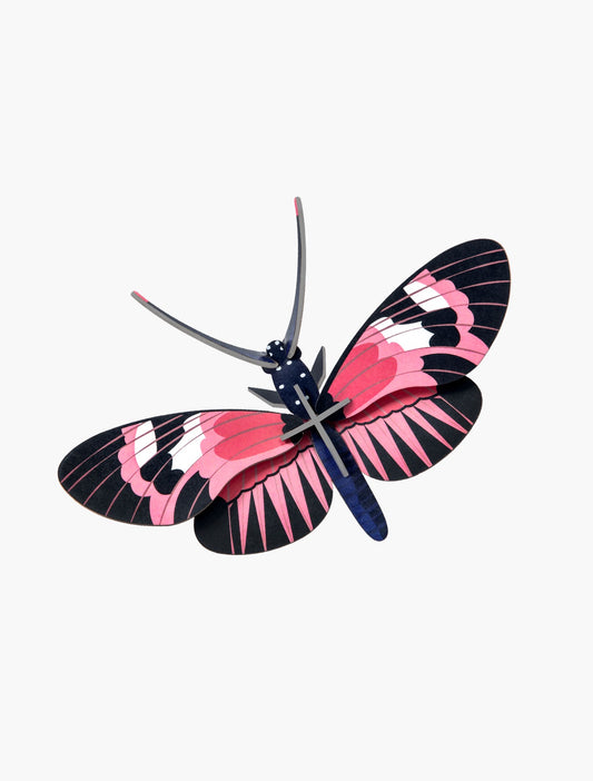 Longwing Butterfly-Small